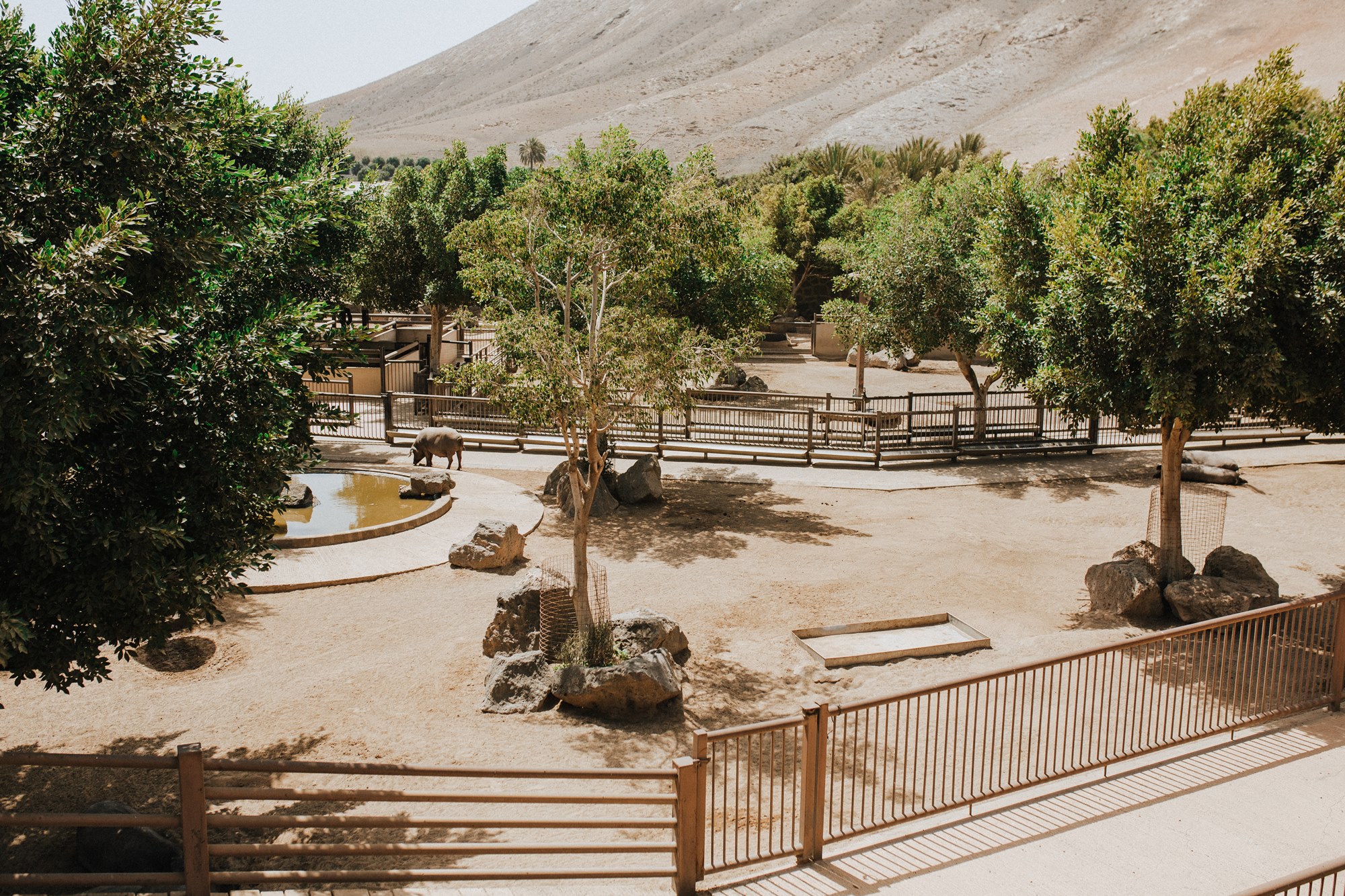 Finca de Uga (Lanzarote) recinto