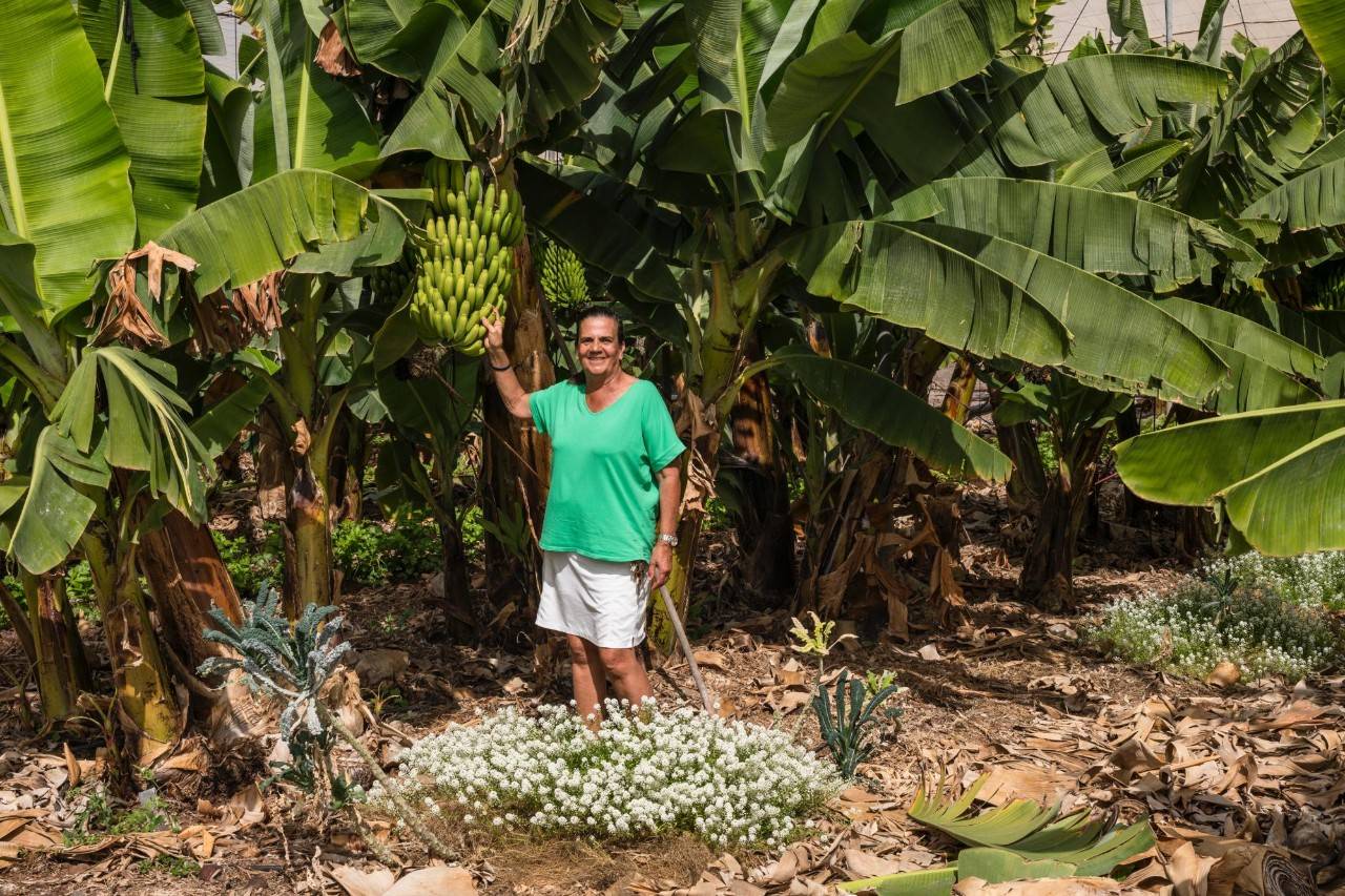 Dulce Acevedo en la finca La Calabacera (Tenerife).