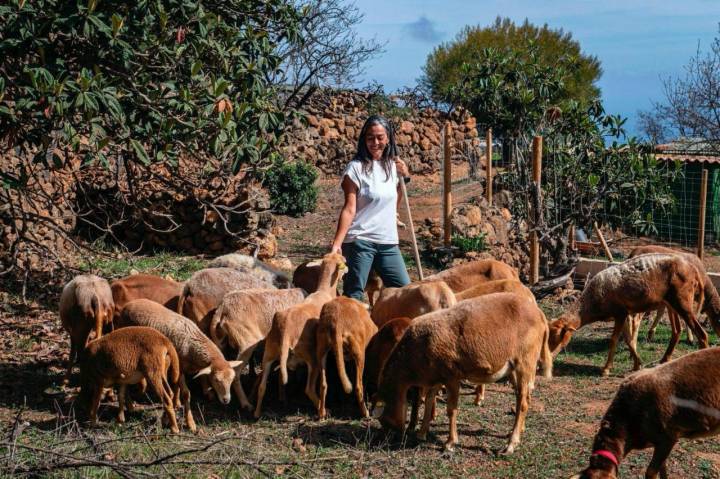 Pilar Carballo con su rebaño de ovejas de la finca La Jara (Arafo, Tenerife).