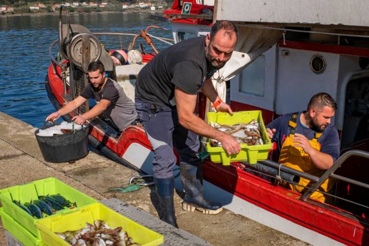 Pescadores descargando la pesca del día.