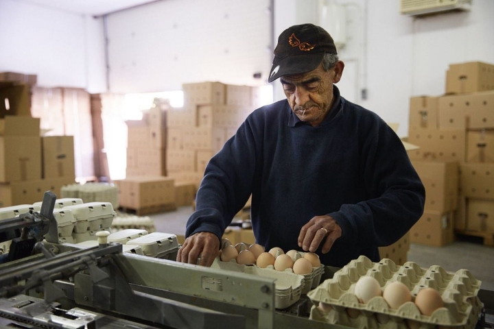 El próximo reto es montar una granja ecológica.