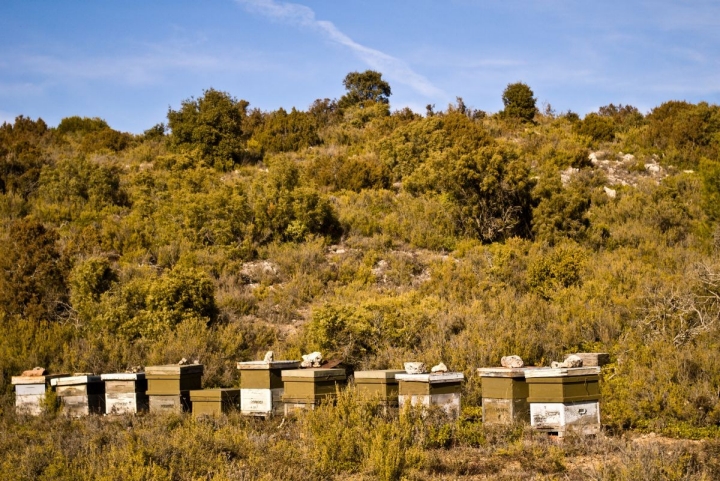 Colmenar en La Alcarria, Guadalajara. Foto: Shutterstock.