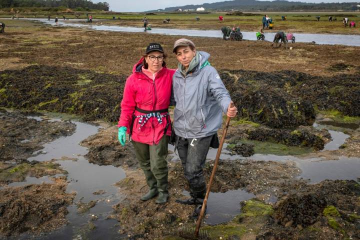 Mariscadoras Amas da Terra compañeras