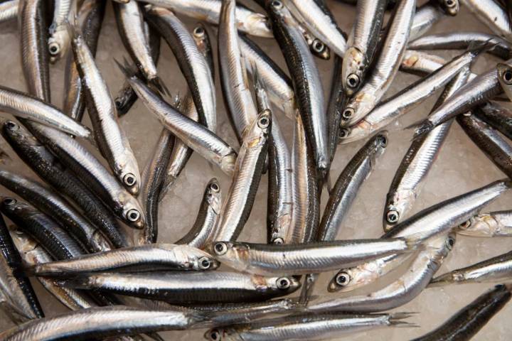 boquerones mercado atarazanas