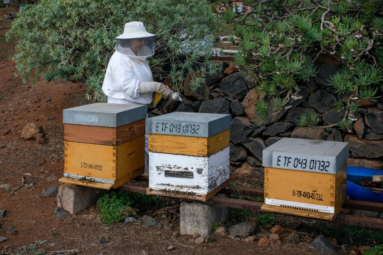 La apicultora Nieves Estévez con sus colmenas de Tenerife