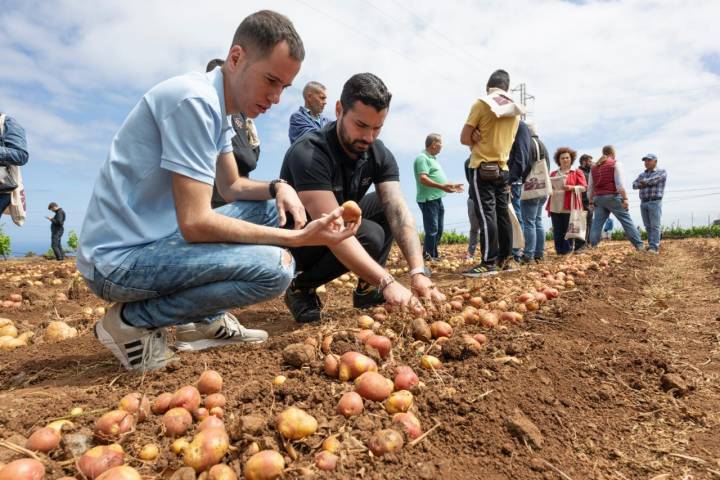 Miguel Reyes y Jesús Camacho en la finca Los Álamos