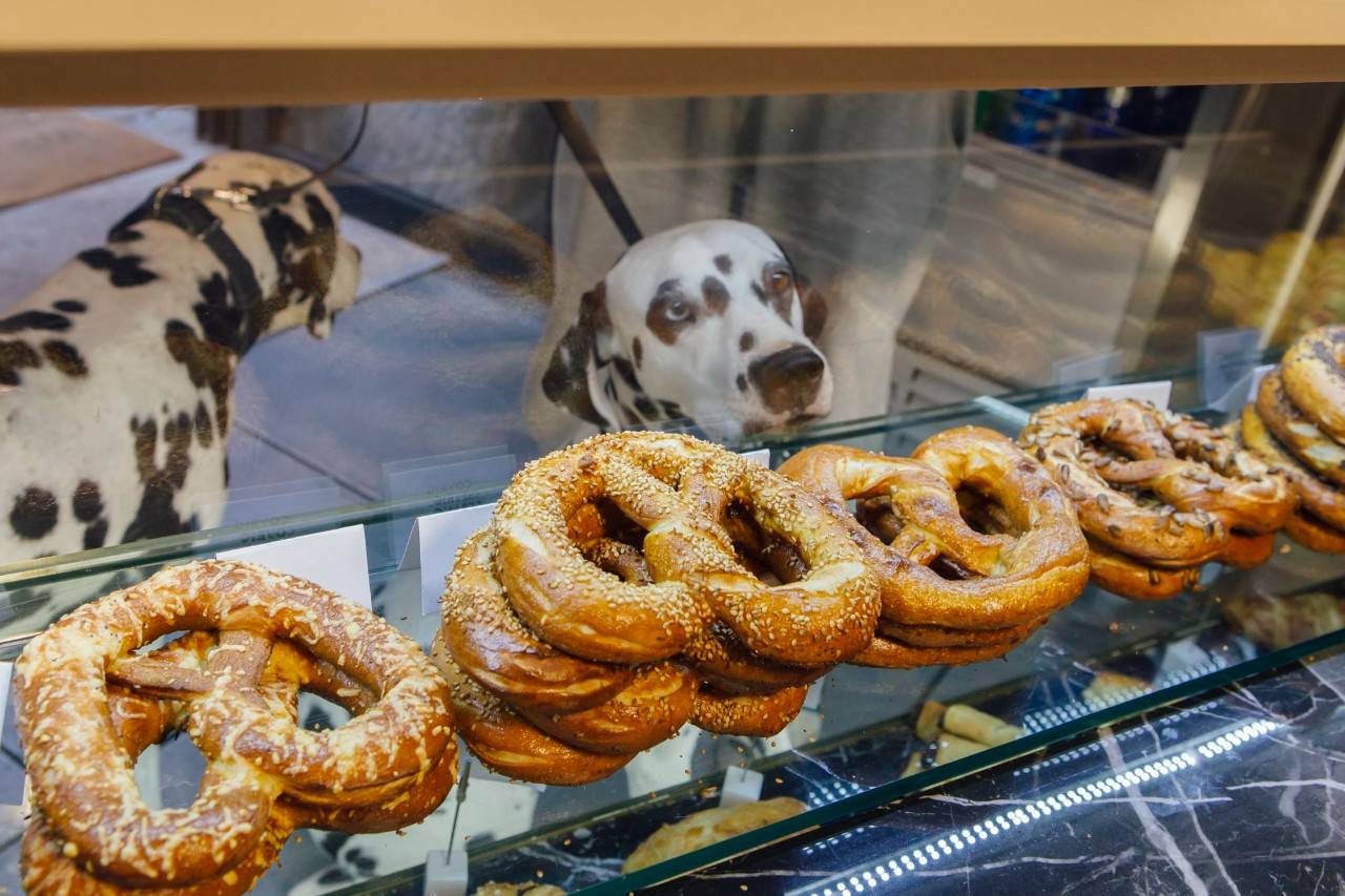 panaderia sfant madrid