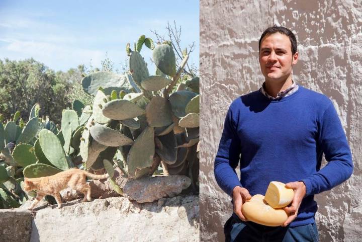 Toni Galmes, orgulloso con su afamado queso artesano de leche de vaca.