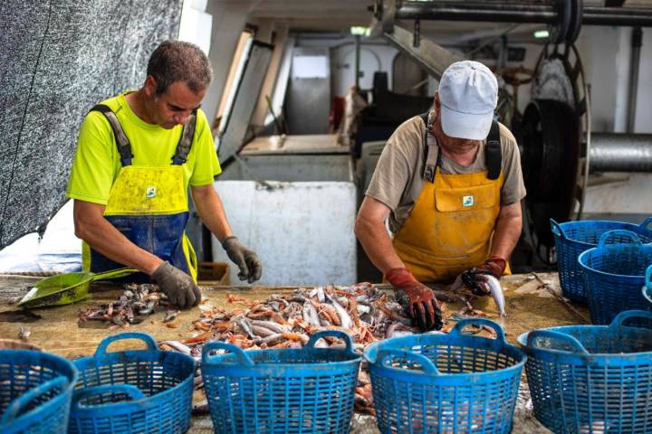 Pesca-turismo en el Grau (Castellón): selección de género