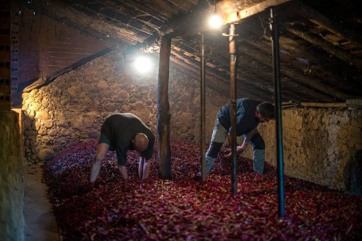 Los hermanos Peñalver dan la vuelta a los pimientos en el secadero.