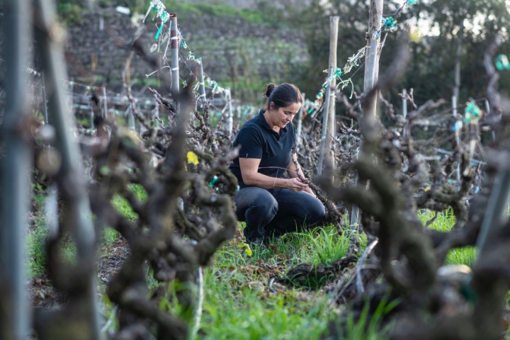 Fátima Hernández, bodeguera y viticultora de bodega LoHer (Tacoronte-Acentejo)