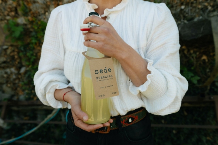 Kombucha Sede