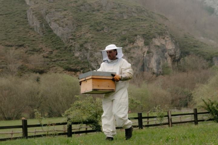 Mario Pérez, de Mieles Olaya (Aller), con una de sus colmenas
