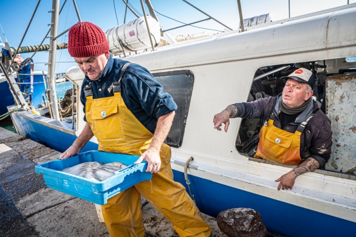 Pescadores descargan sus barcos en la lonja de La Ràpita