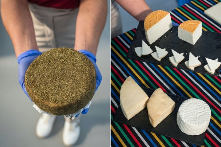 Queso curado al orégano y fresco de la quesería El Isorano (Tenerife).