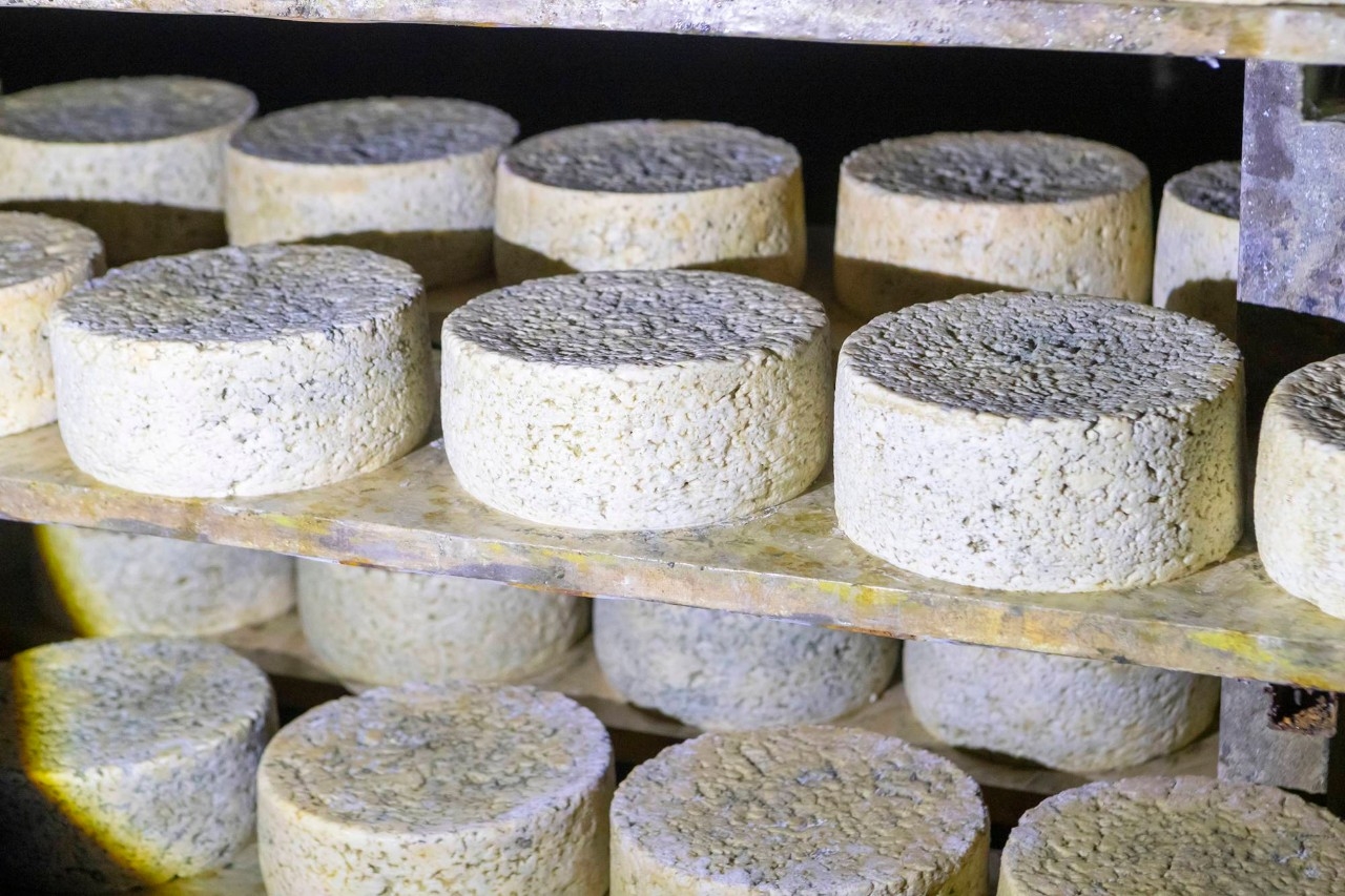 Quesería Los Puertos apertura queso en estantería