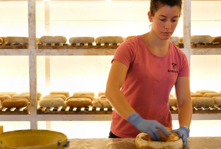 La familia Montañés lleva centrándose en la producción de queso de Mahón desde 1992.