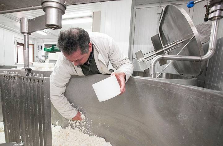 Luis Alberto procede al 'pellizcado' del cuajo para quitarle el exceso de agua antes de moldarlo.