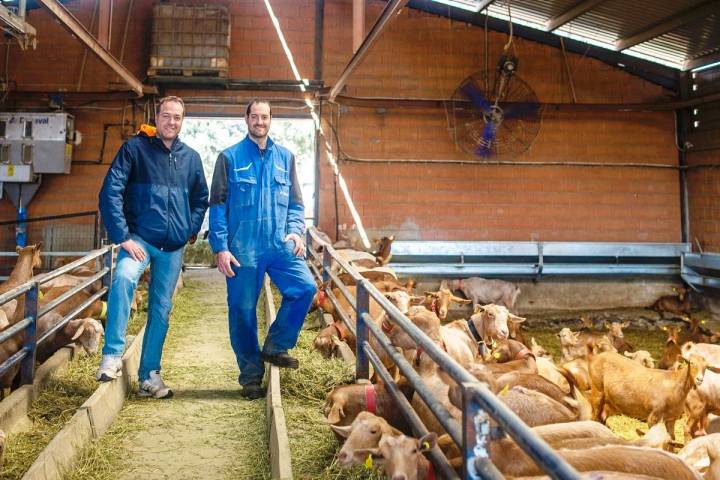 Paco y Jesús en la granja con sus cabras.