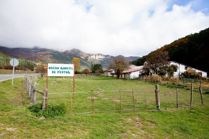 Queso Valle del Roncal