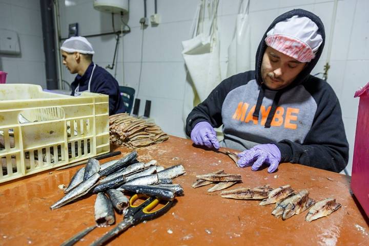 Las sardinas se limpian a mano. Se mantienen en salmuera entre ocho y doce días, lo que les da una textura casi cruda.