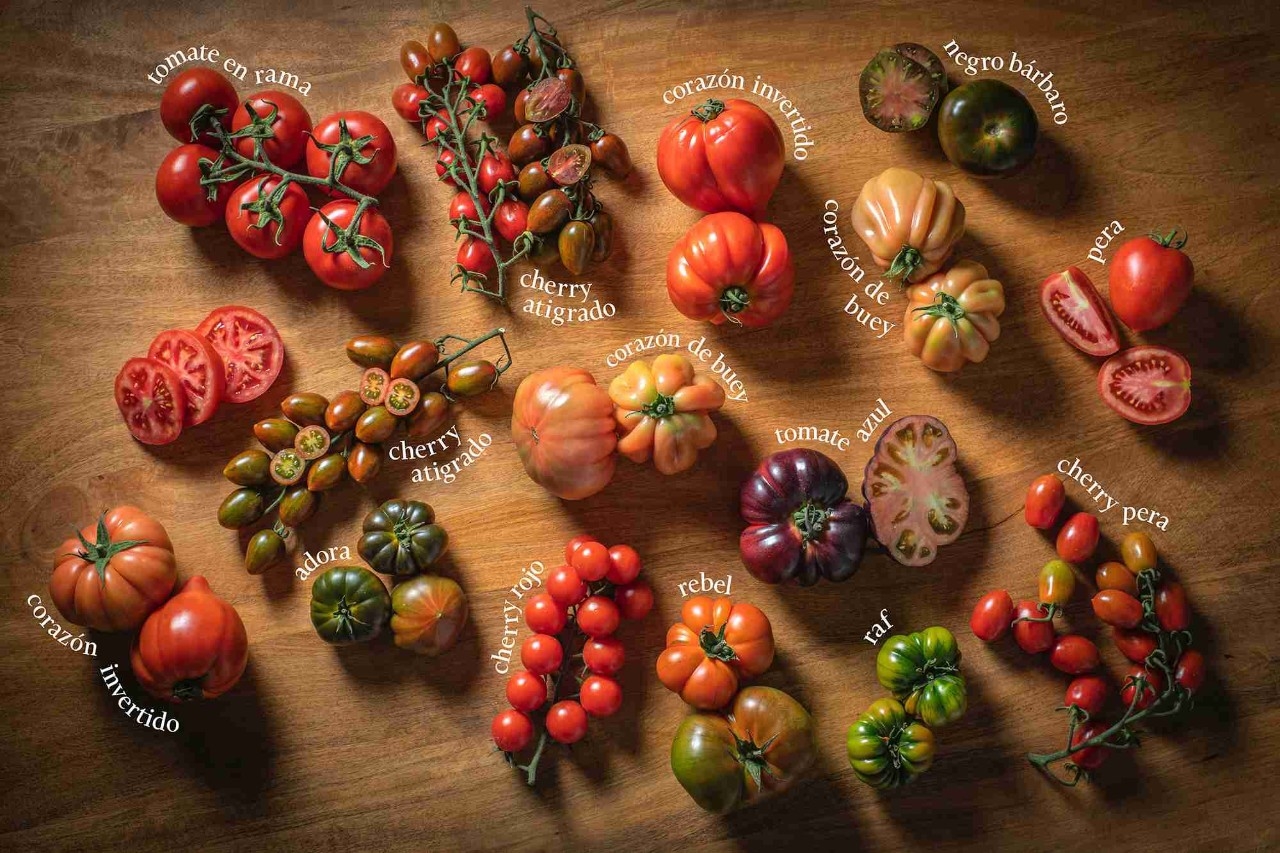 Diferentes variedades de tomate.