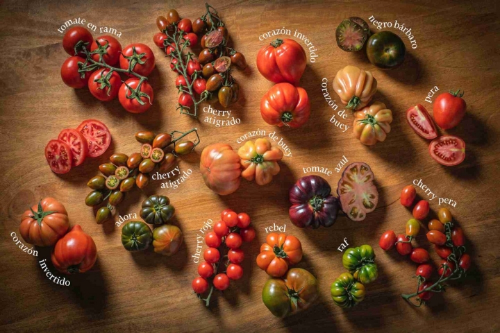 Diferentes variedades de tomate.