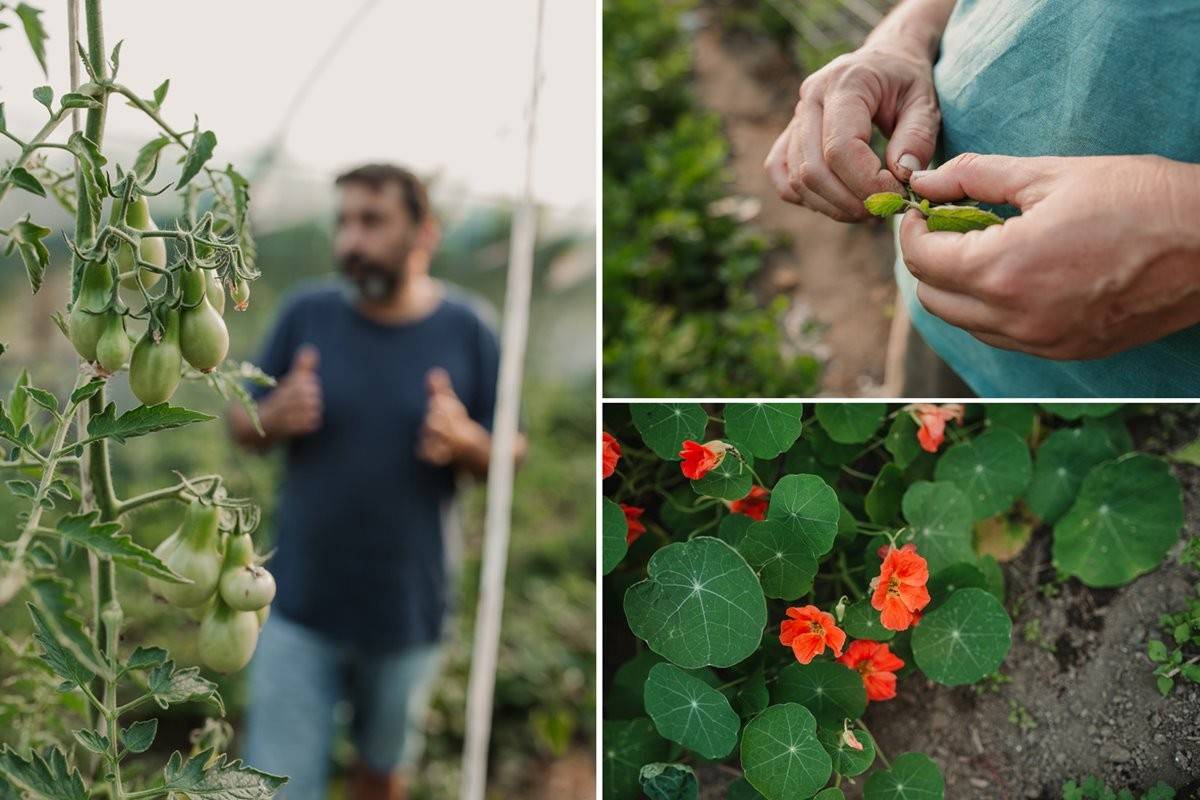 Sabor a Galicia más allá del marisco