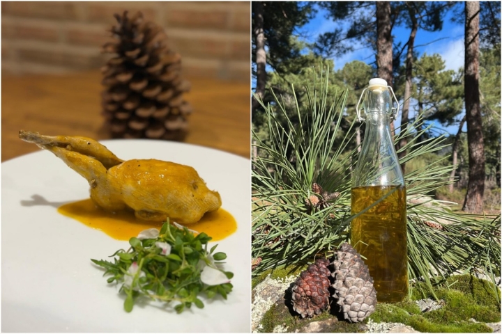 Pollo y aceite casero.