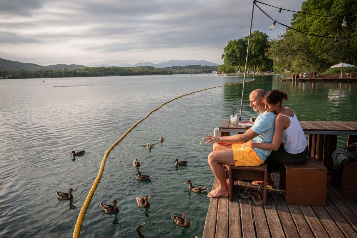 Patos en el lago