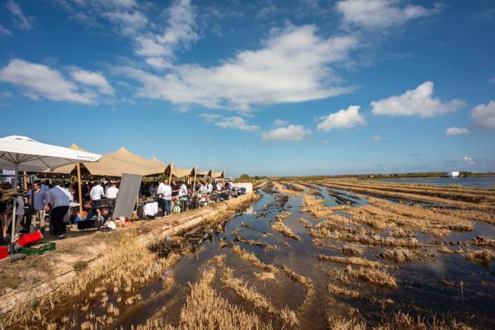 La fiesta campestre se ha celebrado entre los arrozales de la Albufera.