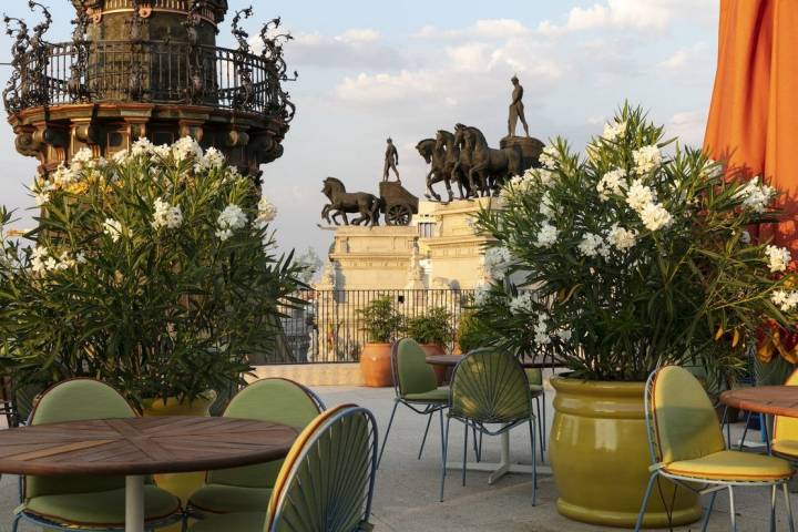 terraza de dani brasserie