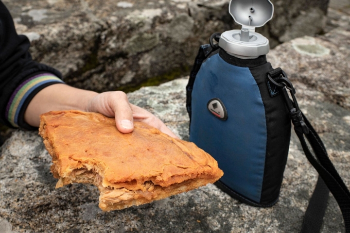 Camino Santiago. Empanada gallega.