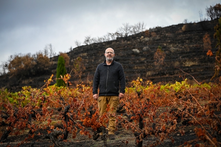 Nacho junto a sus viñedos quemados.