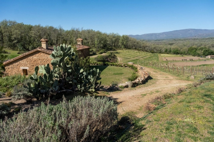 Vista parcial de la Casa de la Parra, antiguo secadero de pimiento.
