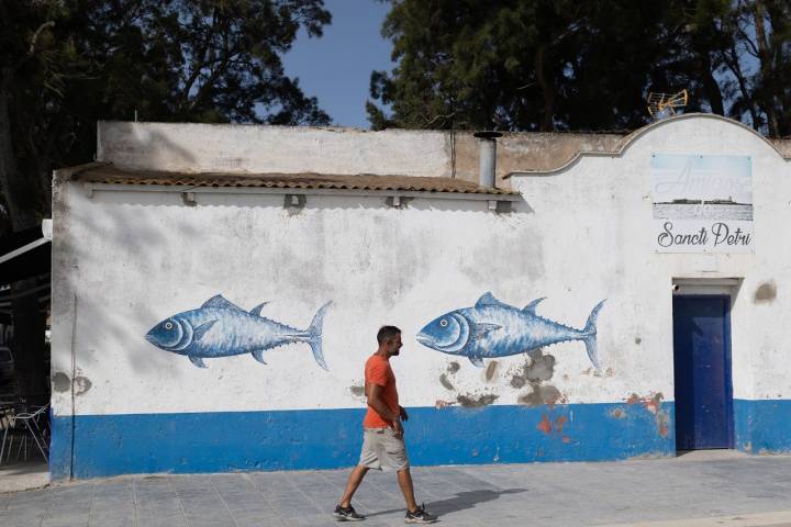 Murales del Poblado de Sancti Petri.