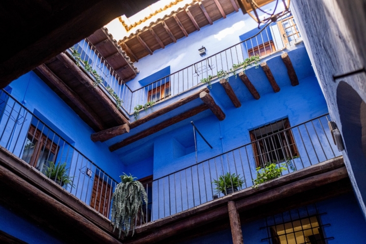 Patio interior azul lleno de plantas.