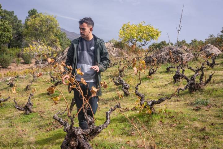 Carlos Casillas en la viña.