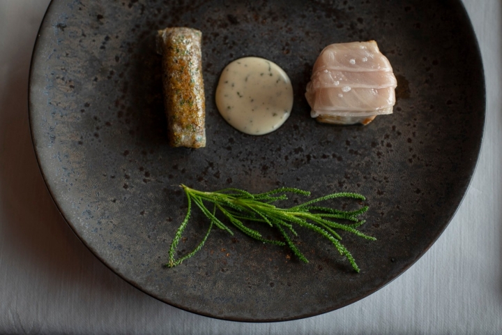 Un lujo probar los primeros bonitos, aquí con pilpil de santolina olivia