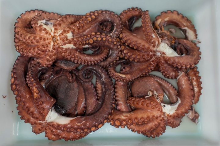 Restaurante O Castro pulpo  Restaurante O Castro pulpo