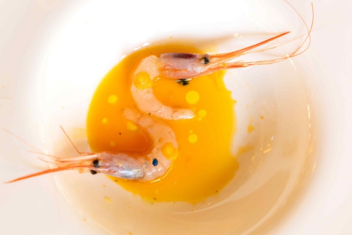 Quisquillas de Motril