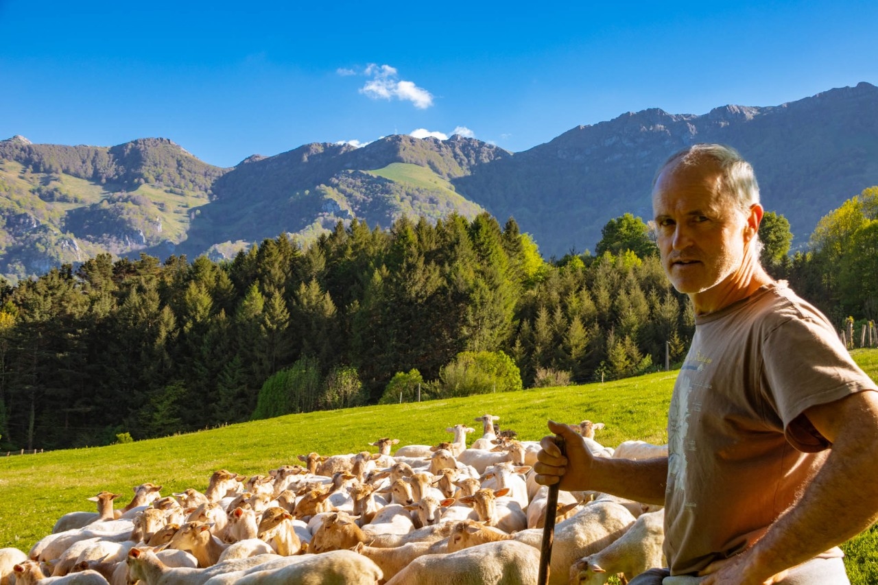 La deliciosa economía de montaña de la sierra de Aralar
