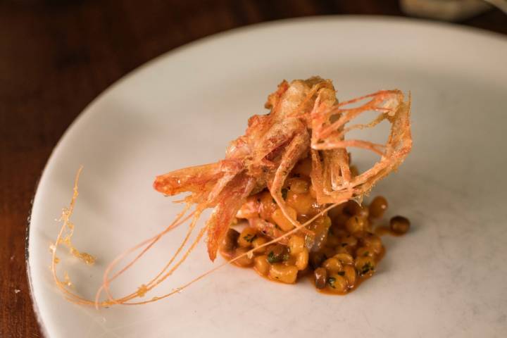 Fregola con gamba roja.