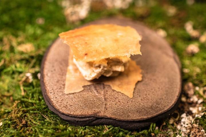 Corte de helado de de leguminosas y gramíneas con piel de pollo