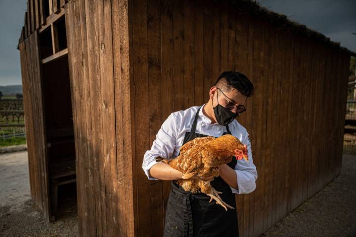 Gallinero restaurante casa nova