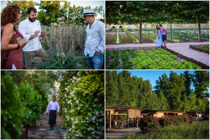 Los clientes pueden pasear libremente por toda la huerta familiar de la familia Cabrera.