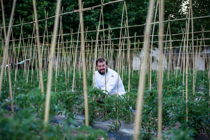 Roberto Cabrera junto a alguna de sus tomateras, su particular "museo vegetal".