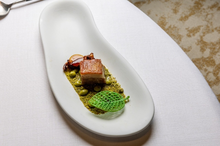 Corderitos en faldas sobre prado de pistachos verdes.