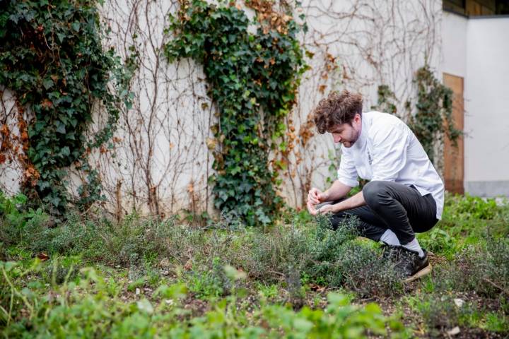 Leandro recoge cada mañana las mejores hierbas silvestres que crecen en el jardín.