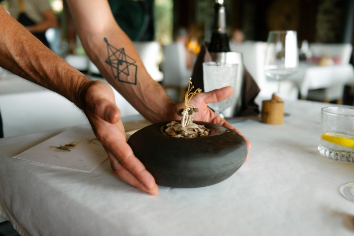 Las setas en 'Terruño' Las setas en 'Terruño'